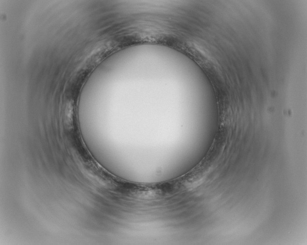 X0000088610646200706151828