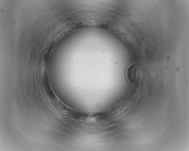 X0000088610647200706151828