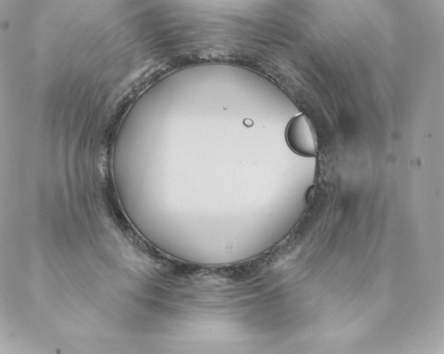 X0000088610648200706151828