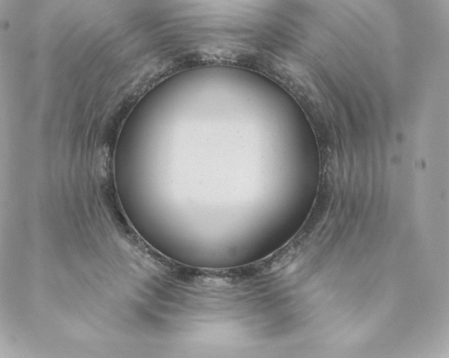 X0000088610649200706151828