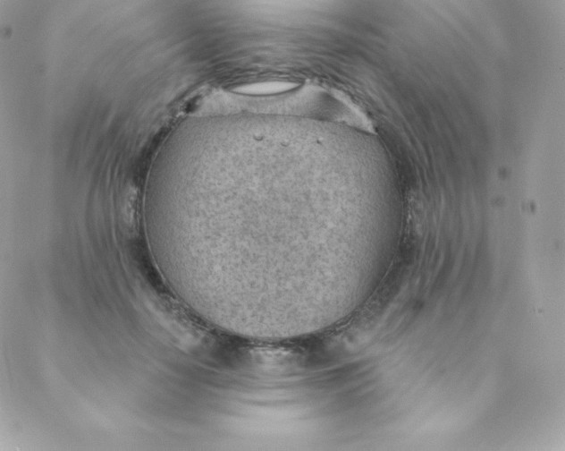 X0000088610650200706151828