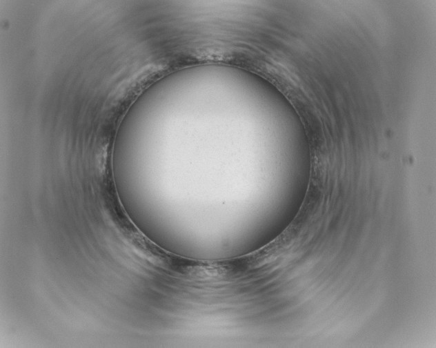 X0000088610652200706151828