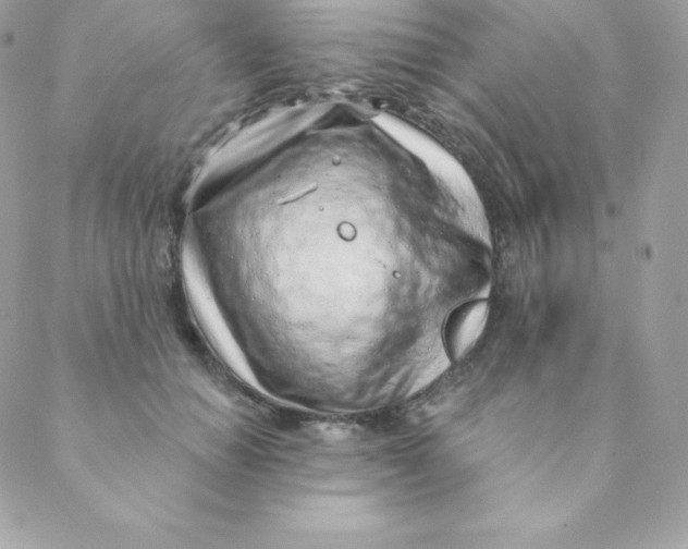 X0000088610654200706151828