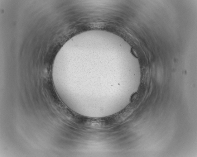 X0000088610655200706151828