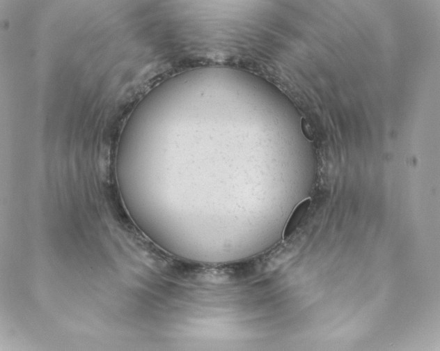 X0000088610656200706151828