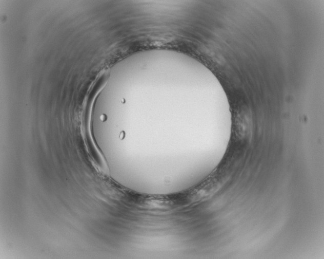 X0000088610657200706151828