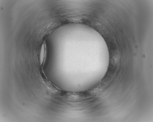 X0000088610658200706151828