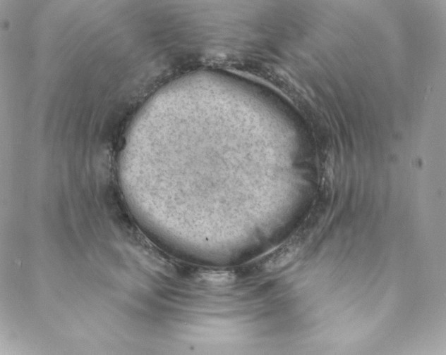 X0000088610659200706151828