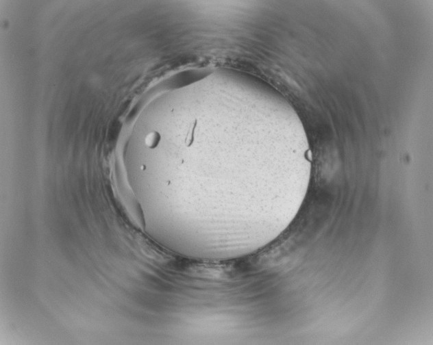 X0000088610661200706151828