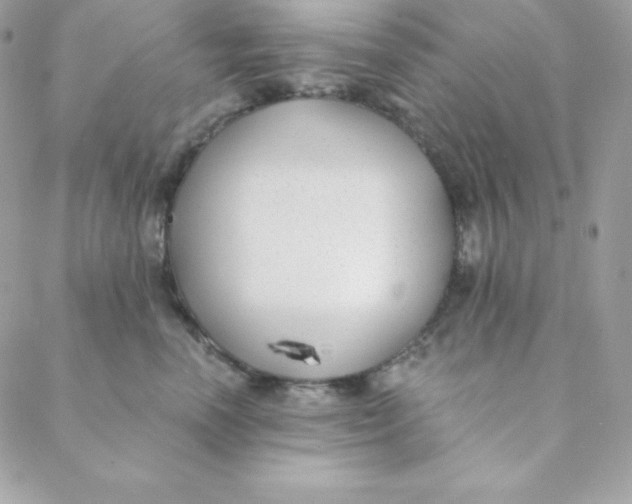 X0000088610666200706151828