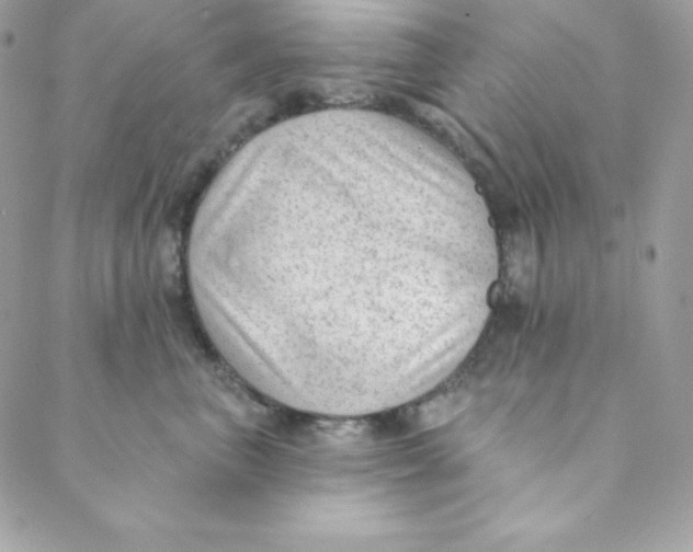 X0000088610667200706151828