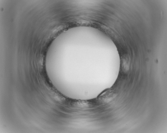 X0000088610668200706151828