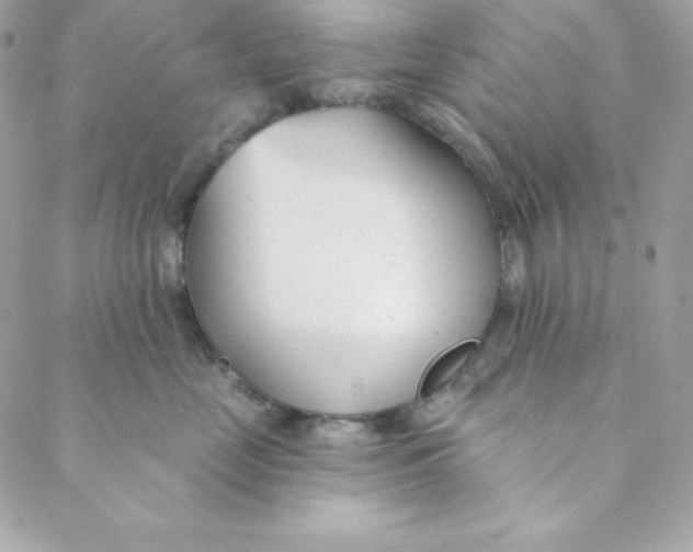 X0000088610669200706151828