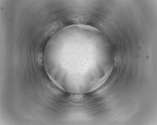 X0000088610671200706151828