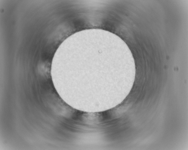 X0000088610672200706151828