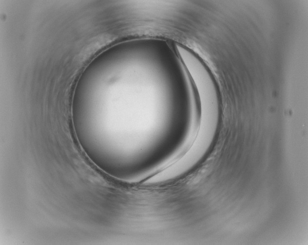 X0000088610673200706151827