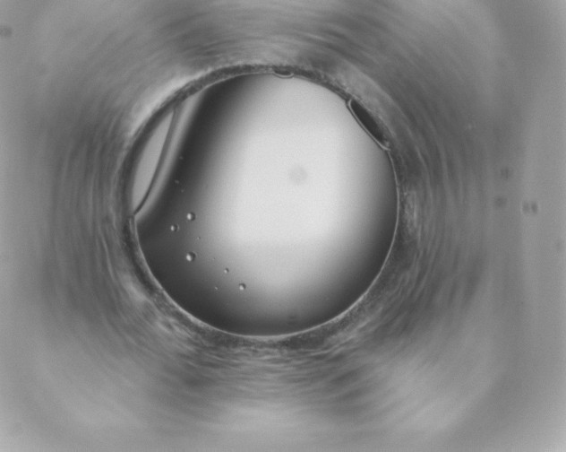 X0000088610676200706151827