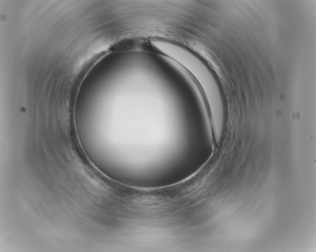 X0000088610677200706151827