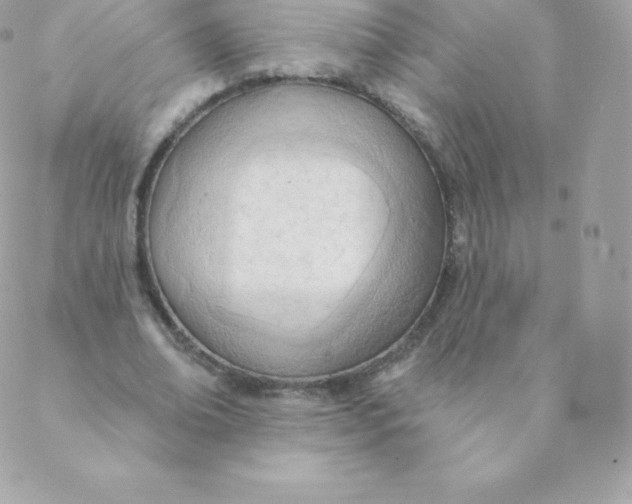 X0000088610678200706151827