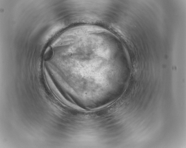 X0000088610679200706151827