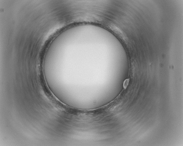 X0000088610680200706151827