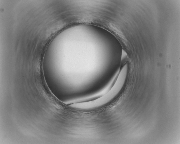 X0000088610681200706151827