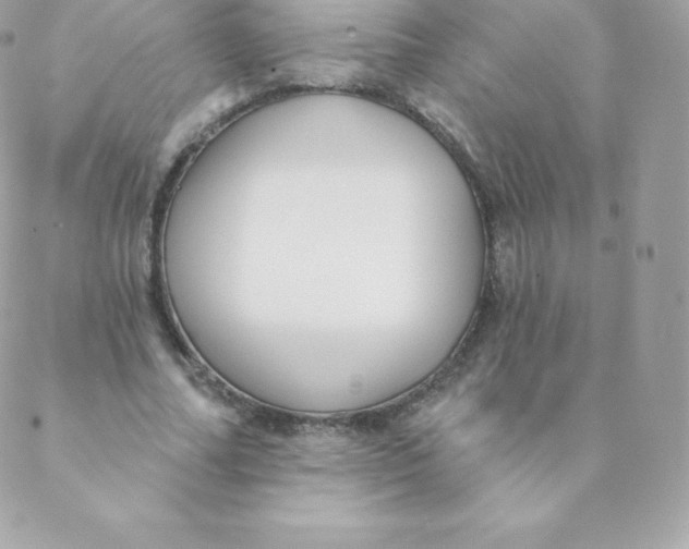 X0000088610682200706151827