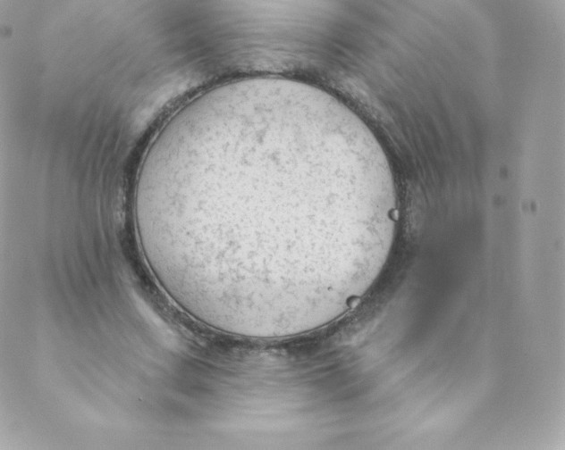 X0000088610683200706151827