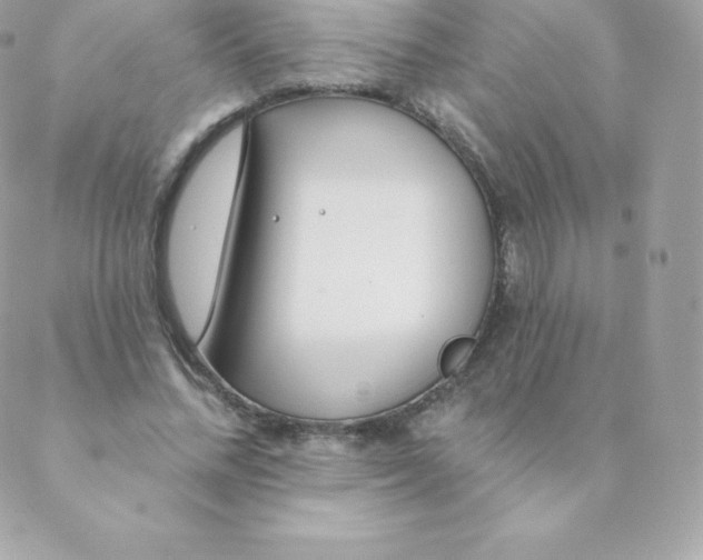 X0000088610684200706151827