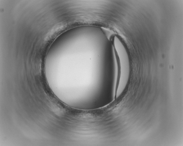 X0000088610685200706151827