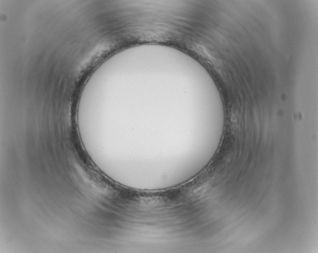 X0000088610686200706151827