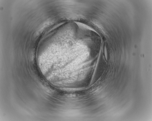 X0000088610687200706151827