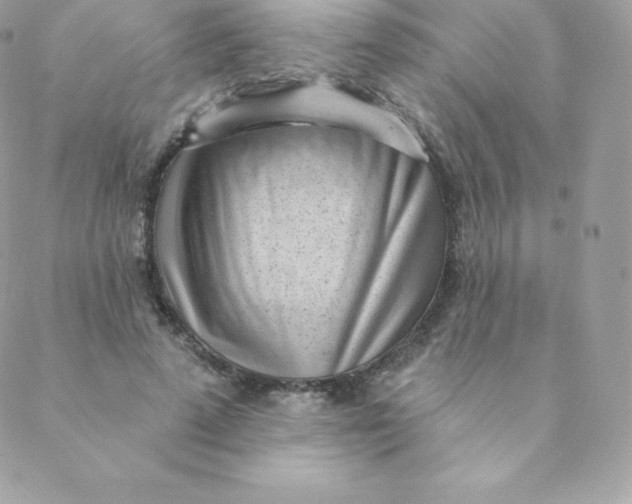 X0000088610689200706151827