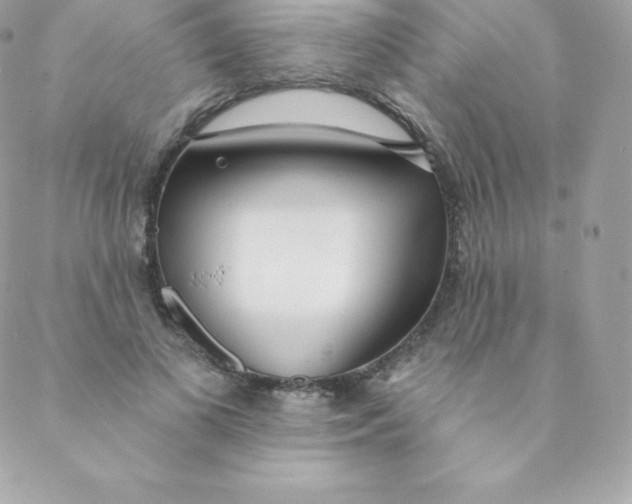 X0000088610693200706151827