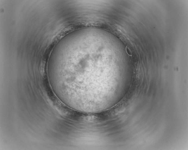 X0000088610695200706151827