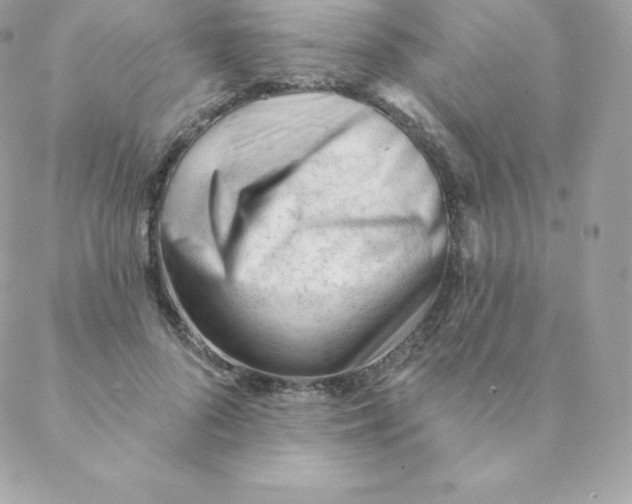 X0000088610696200706151827