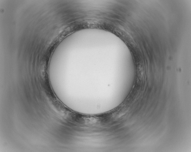 X0000088610698200706151827