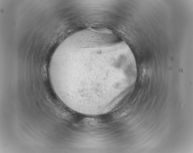 X0000088610699200706151827