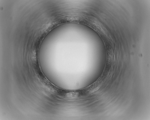 X0000088610700200706151827