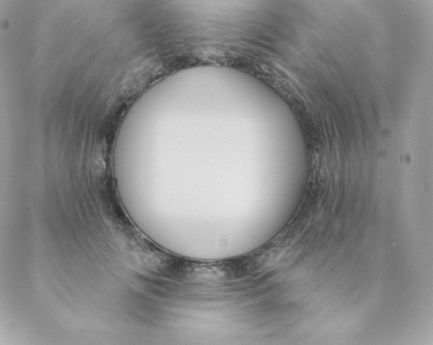 X0000088610702200706151827