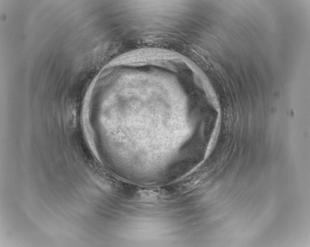 X0000088610703200706151827