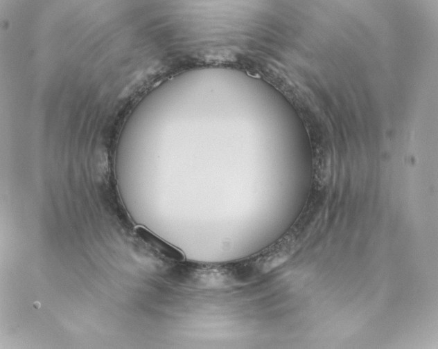 X0000088610704200706151827