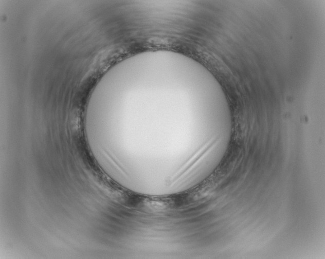 X0000088610706200706151827