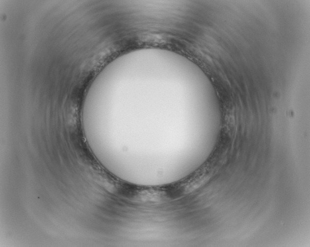 X0000088610708200706151827