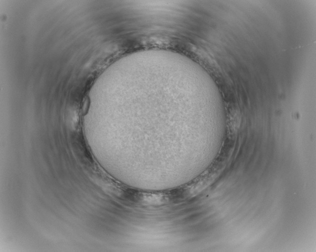 X0000088610709200706151827