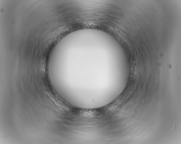 X0000088610710200706151827