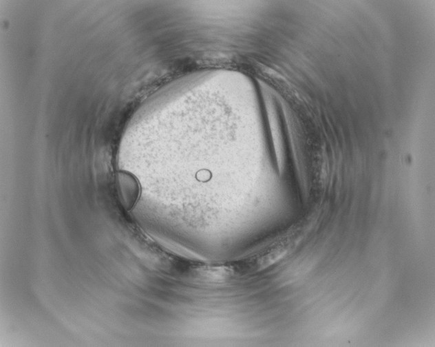 X0000088610711200706151827