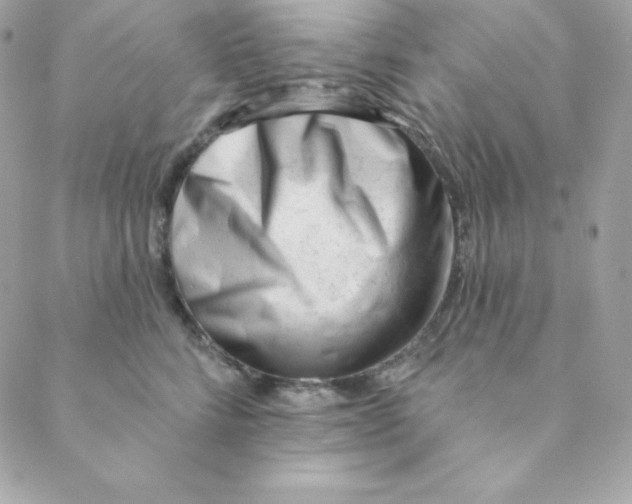 X0000088610712200706151827