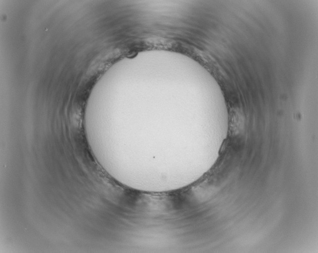 X0000088610713200706151827