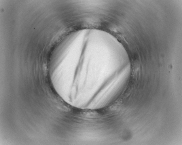 X0000088610716200706151827